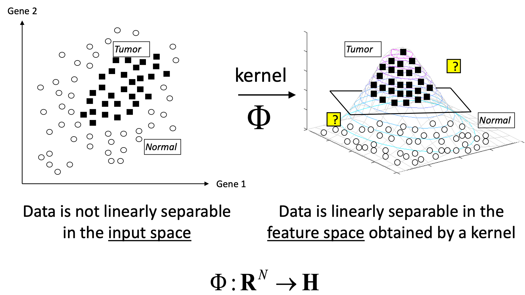 Kernel Trick Visualization